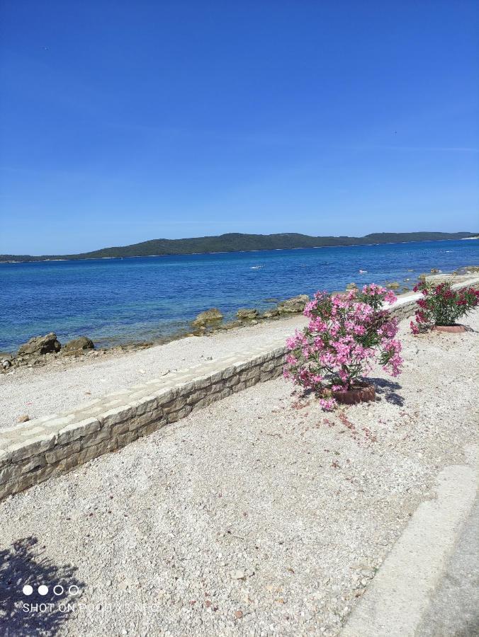 Apartmani Lana Šibenik Eksteriør billede